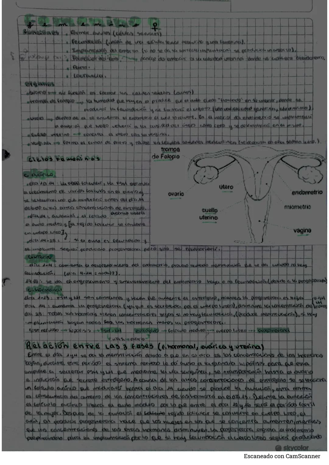 # Biologia
b
niveles de organización del cuerpo humano
* aroma nivel más brosio de agarnitución de la mereria, se combinan para factus en