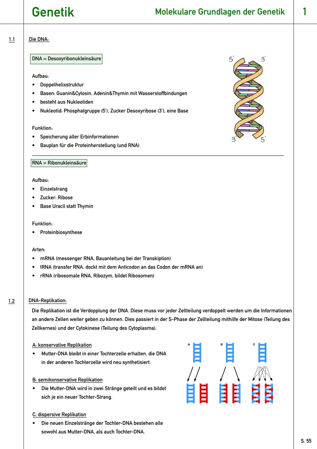 # Genetik
Qualifikationsphase (Q2) # Genetik
Wiederholung
0 Wiederholung - Grundlagen der Genetik:
* Gen: Abschnitt der DNA, der für e