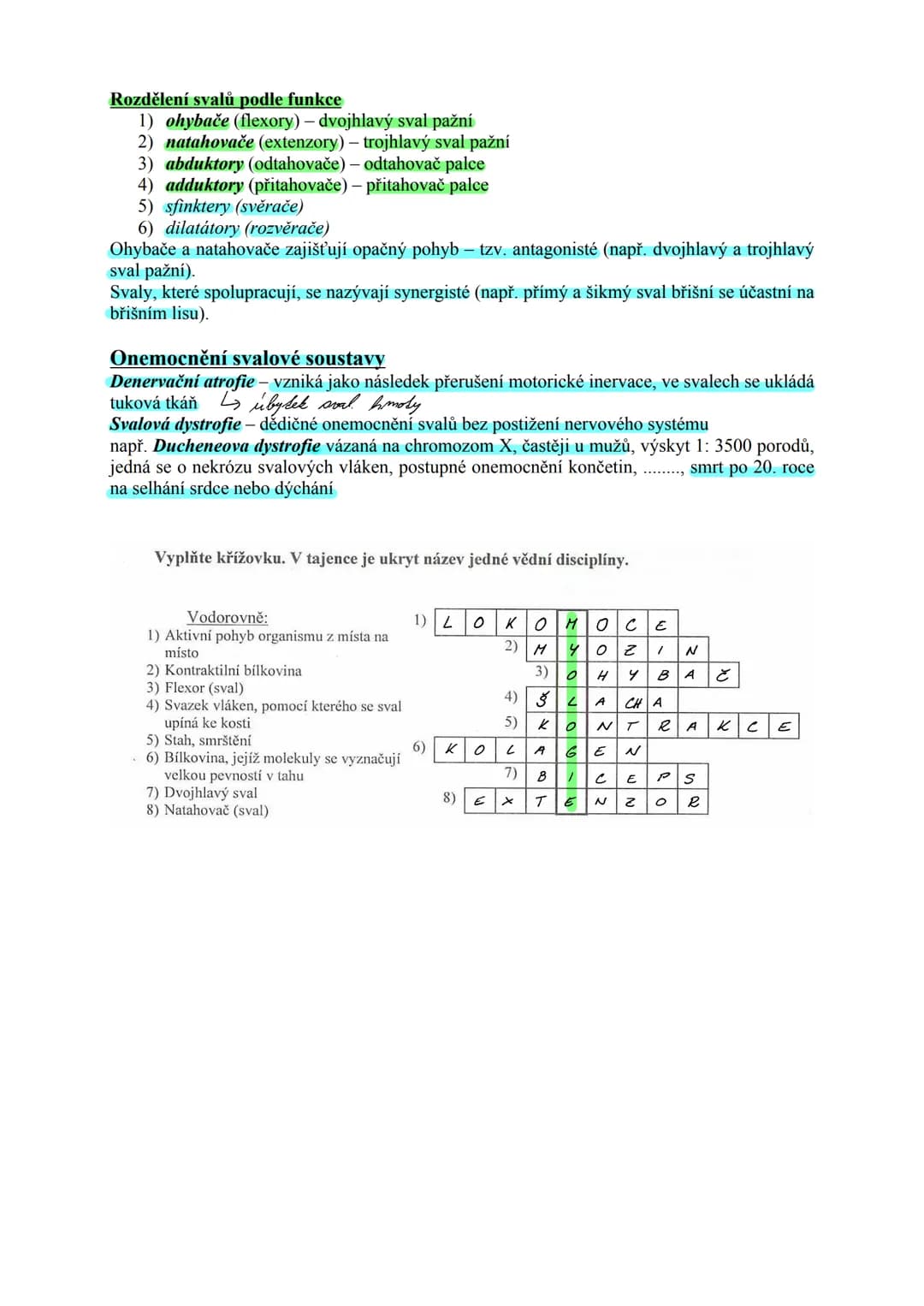 # TKÁŇ SVALOVÁ (textus muscularis) Μ.Ο. 22
Funkce:
zajišťuje pohyb organismu z místa na místo (lokomoci), pohyb částí těla
zajišťuje pohyb