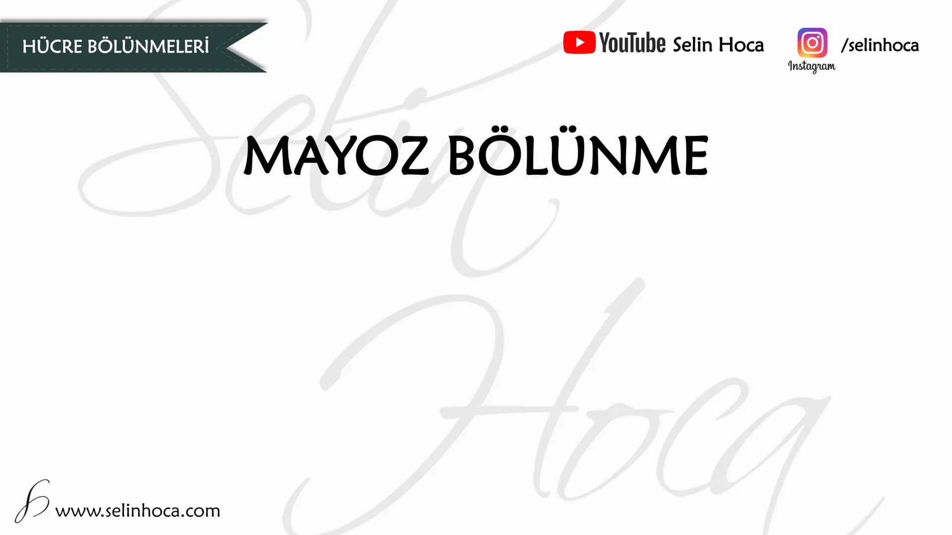 # HÜCRE BÖLÜNMELERİ
# MAYOZ BÖLÜNME
* YouTube Selin Hoca
* Instagram /selinhoca
www.selinhoca.com # MAYOZ BÖLÜNME
✓ Üreme ana hücre