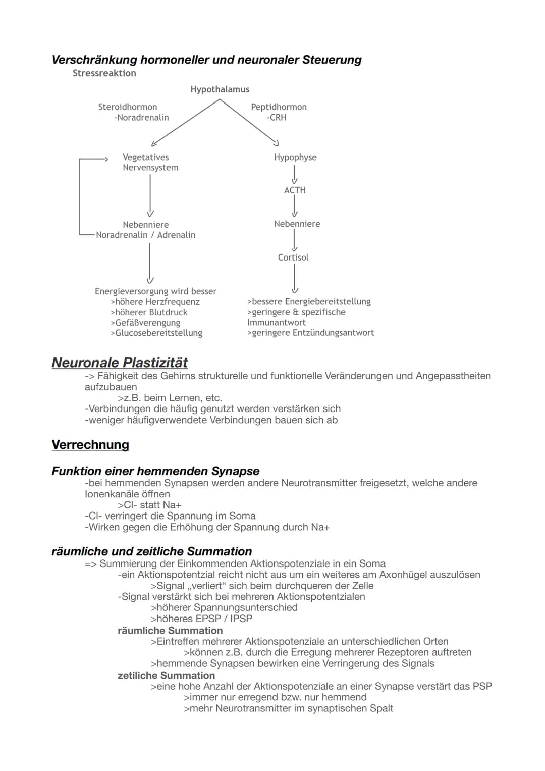 Biologie Abitur 2025
Neurobiologie
Grundlagen der Informationsverarbeitung
Bau und Funktion von Nervenzellen
Aufbau Neuronen
Ruhepotent