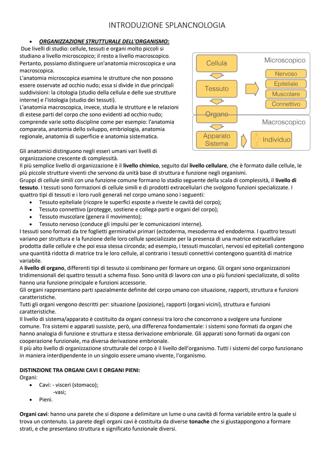 INTRODUZIONE GENERALE
TERMINI DI POSIZIONE:
Le descrizioni di tutte le regioni o parti del corpo umano richiedono un punto di riferimento in