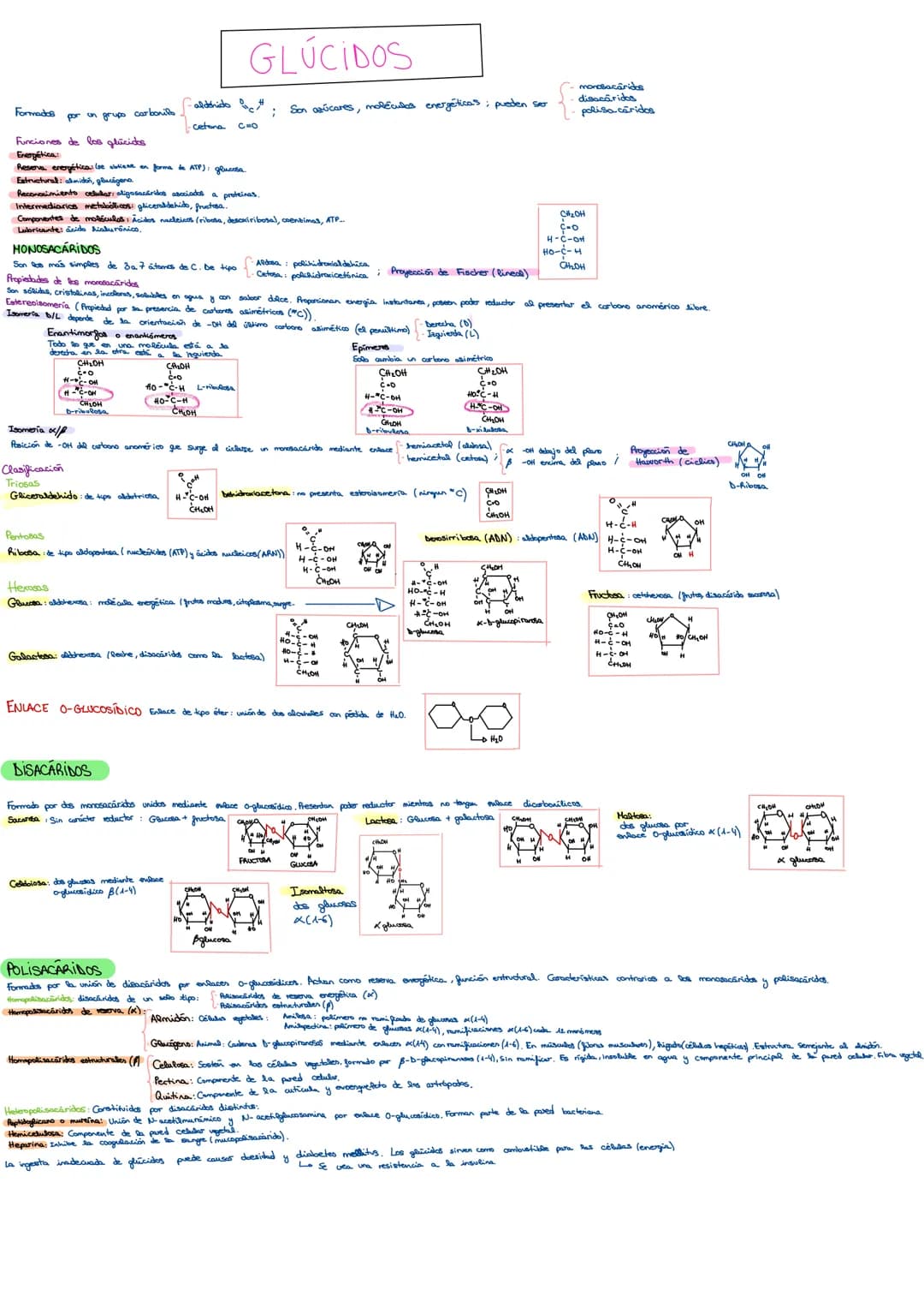 # 1. BIOELEMENTOS Y BIOMOLÉCULAS ORGÁNICAS
Los bioelementos constituyen la maderia viva (C,H,O,N,P,S)
CLASIFICACIÓN DE LOS BIDELEMENTOSS.
