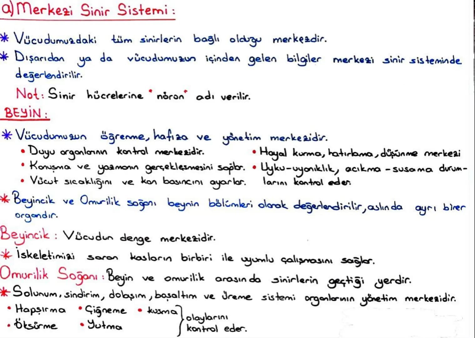 b) Gevresel Sinir Sistemi:
*Merkezi sinir sistemi dışındaki tüm sinirler çevresel sinir sistemini
oluşturur.
* Çevresel sinir sistemi beyi