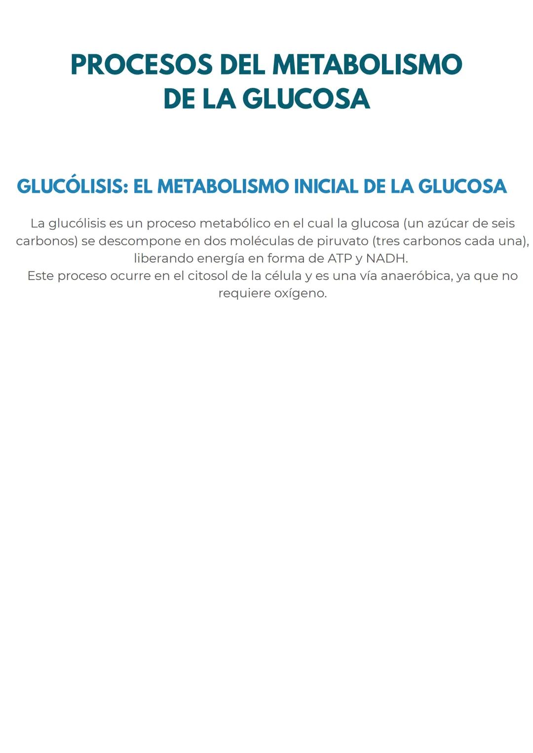 # CONCEPTOS PREVIOS
# MITOCONDRIAS
En primer lugar para dominar perfectamente este
tema, repasemos rapidamente las mitocondrias
Las mitoc