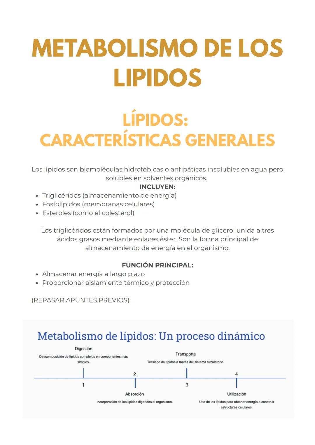 # METABOLISMO DE LOS
LIPIDOS
## LÍPIDOS:
CARACTERÍSTICAS GENERALES
Los lípidos son biomoléculas hidrofóbicas o anfipáticas insolubles en a