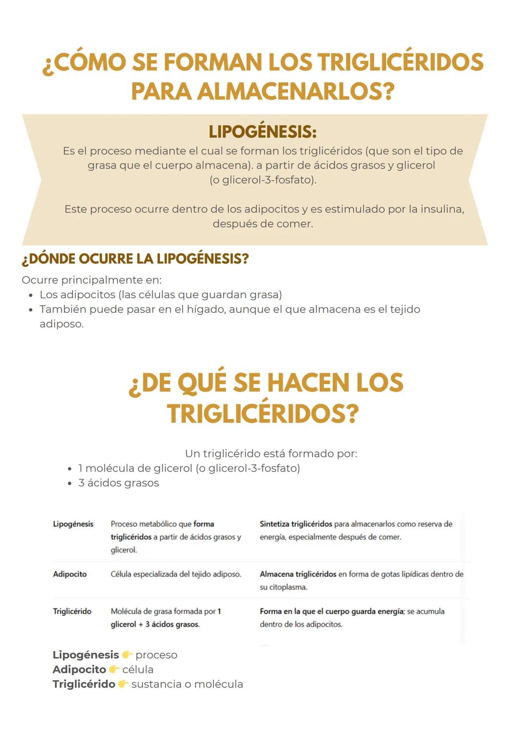 # METABOLISMO DE LOS
LIPIDOS
## LÍPIDOS:
CARACTERÍSTICAS GENERALES
Los lípidos son biomoléculas hidrofóbicas o anfipáticas insolubles en a
