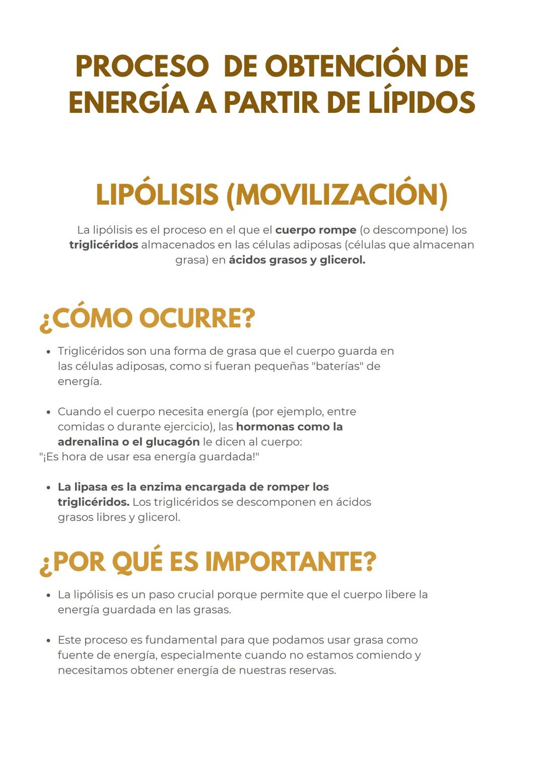 # METABOLISMO DE LOS
LIPIDOS
## LÍPIDOS:
CARACTERÍSTICAS GENERALES
Los lípidos son biomoléculas hidrofóbicas o anfipáticas insolubles en a
