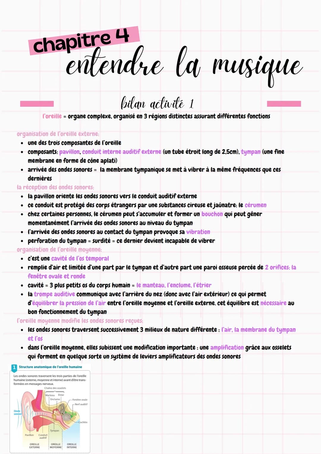 Π
chapitre 4
entendre la musique
bilan activité 1
l'oreille = organe complexe, organisé en 3 régions distinctes assurant différentes fonctio