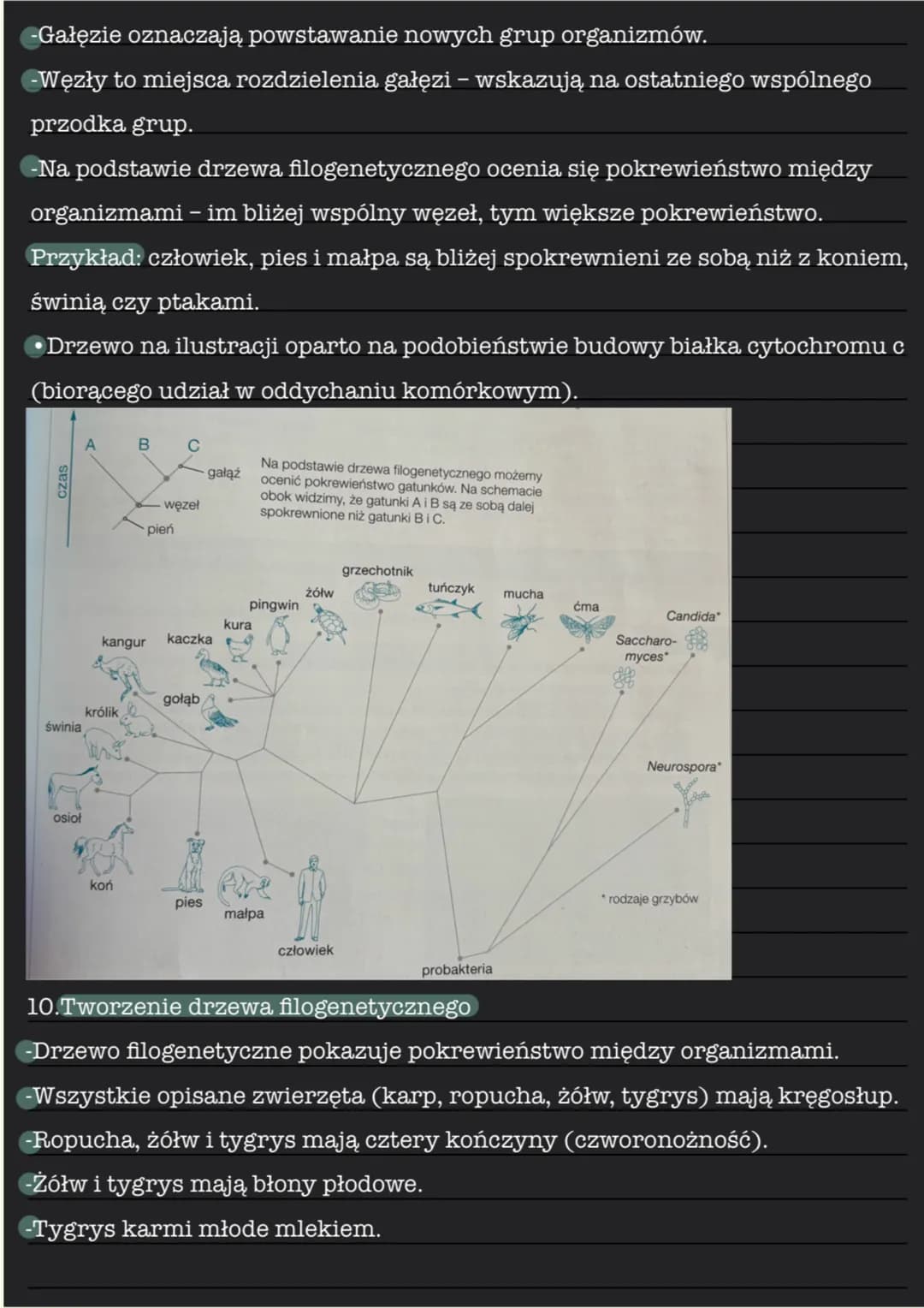 --- OCR Start ---
Źródła wiedzy o ewolucji
1. Ewolucja biologiczna jest to proces stopniowych, nieodwracalnych
zmian w grupach organizmów, p