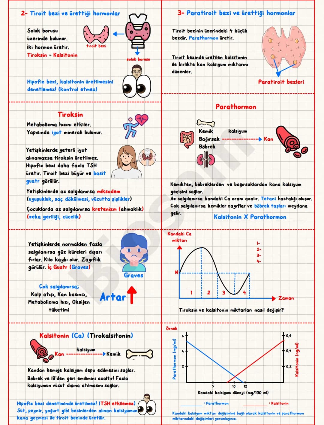 ## Endokrin (Hormonal) Sistem
Hormon; bir sinyali bir
hücreden diğerine taşıyan
kimyasal mesajlardır.
Bez; salgı üreten organ.
Kana salgı