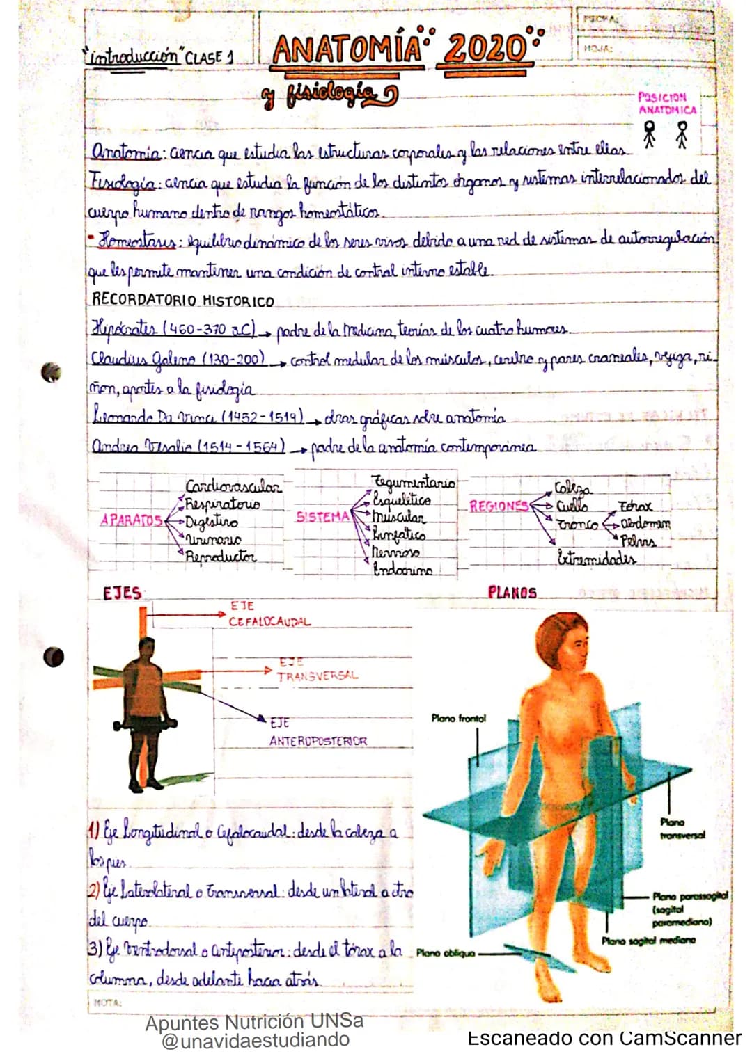 Introducción CLASE 1
ΑΝΑΤΟΜΙΑ 2020
y fisiologia
POSICION
ANATOMICA
Anatomia : Gencia que estudia las estructuras corporales y las relaciones