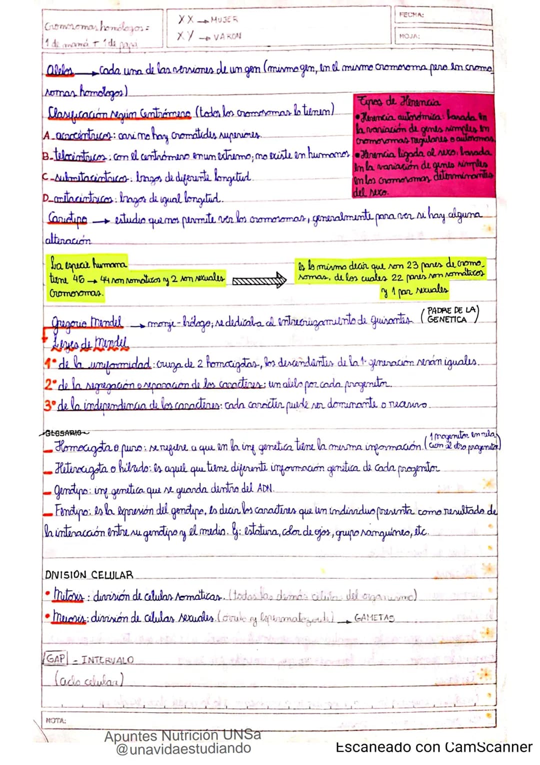 Introducción CLASE 1
ΑΝΑΤΟΜΙΑ 2020
y fisiologia
POSICION
ANATOMICA
Anatomia : Gencia que estudia las estructuras corporales y las relaciones
