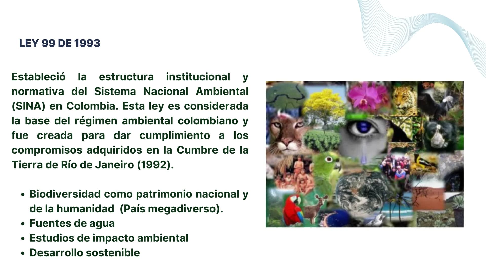 # LEGISLACIÓN
# AMBIENTAL CONSTITUCIÓN POLÍTICA DE COLOMBIA - 1991
La Constitución de 1991 sentó las bases del derecho
ambiental en Colombi