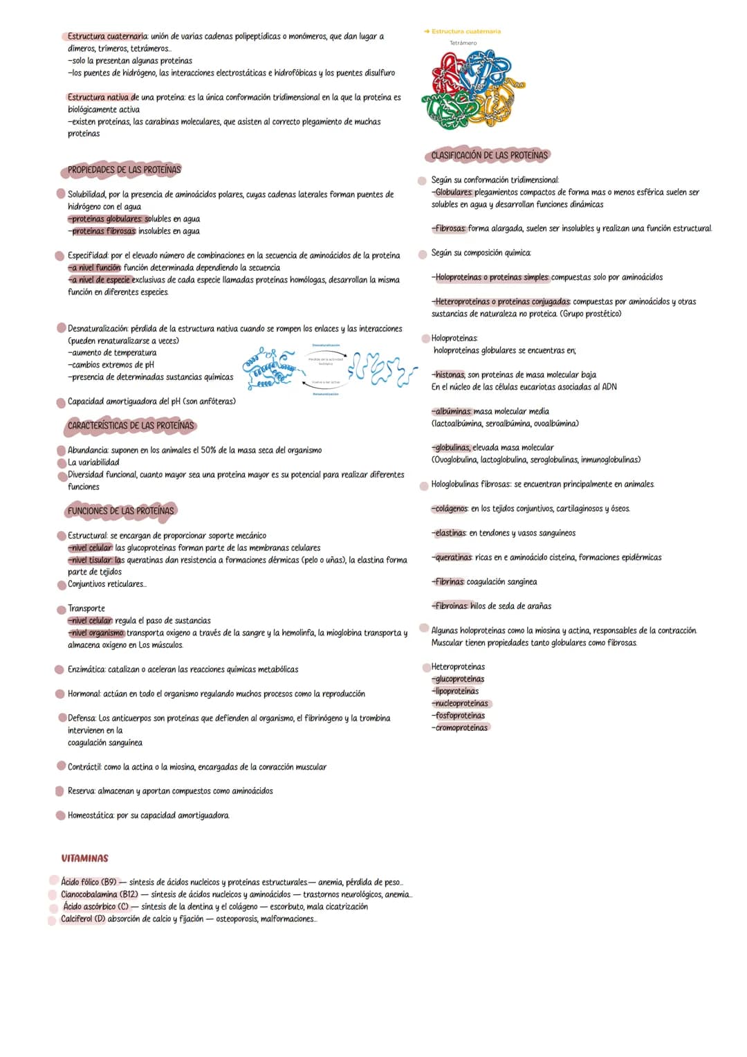 Tema 4 Proteinas y ácidos nucleicos
LOS AMINOÁCIDOS
Contienen un grupo amino, grupo carboxilo y una cadena lateral (grupo R) unidos a un car