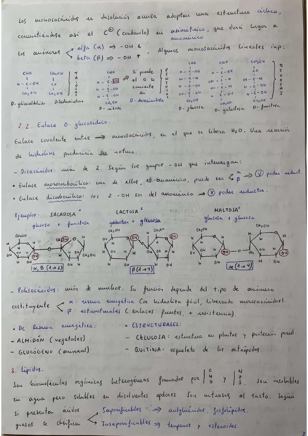 ## RESÚMENES PAU BIOLOGÍA.
## BLOQUE 1: Bioquímica.
1. **Bioelementos:** son elementos químicos que forman parte de la materia viva.
La un