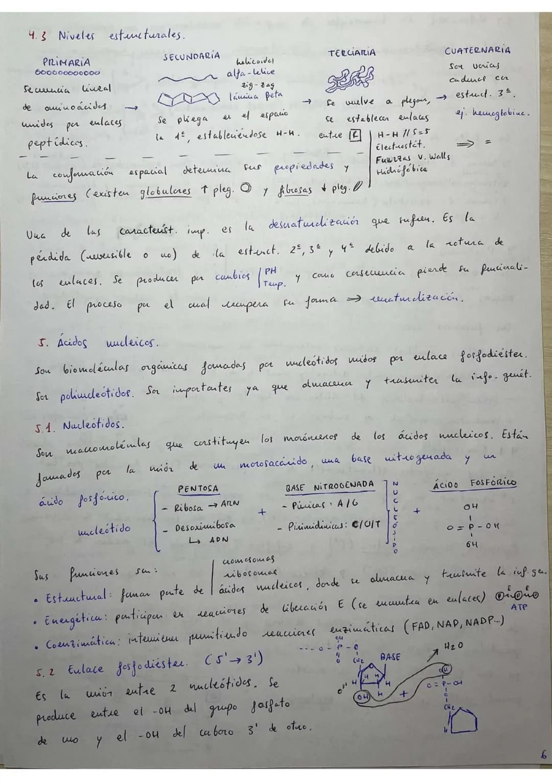 ## RESÚMENES PAU BIOLOGÍA.
## BLOQUE 1: Bioquímica.
1. **Bioelementos:** son elementos químicos que forman parte de la materia viva.
La un