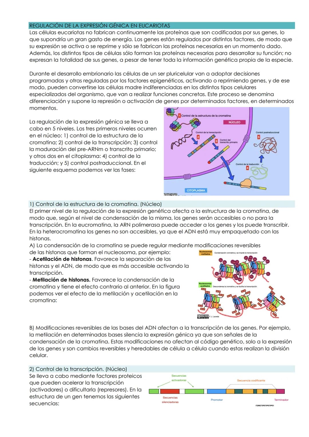 BLOQUE: GENÉTICA MOLECULAR
UNIDAD 7: GENÉTICA MOLECULAR
1. El material genético
1.1. Conceptos e introducción
Hubo una disputa histórica a l