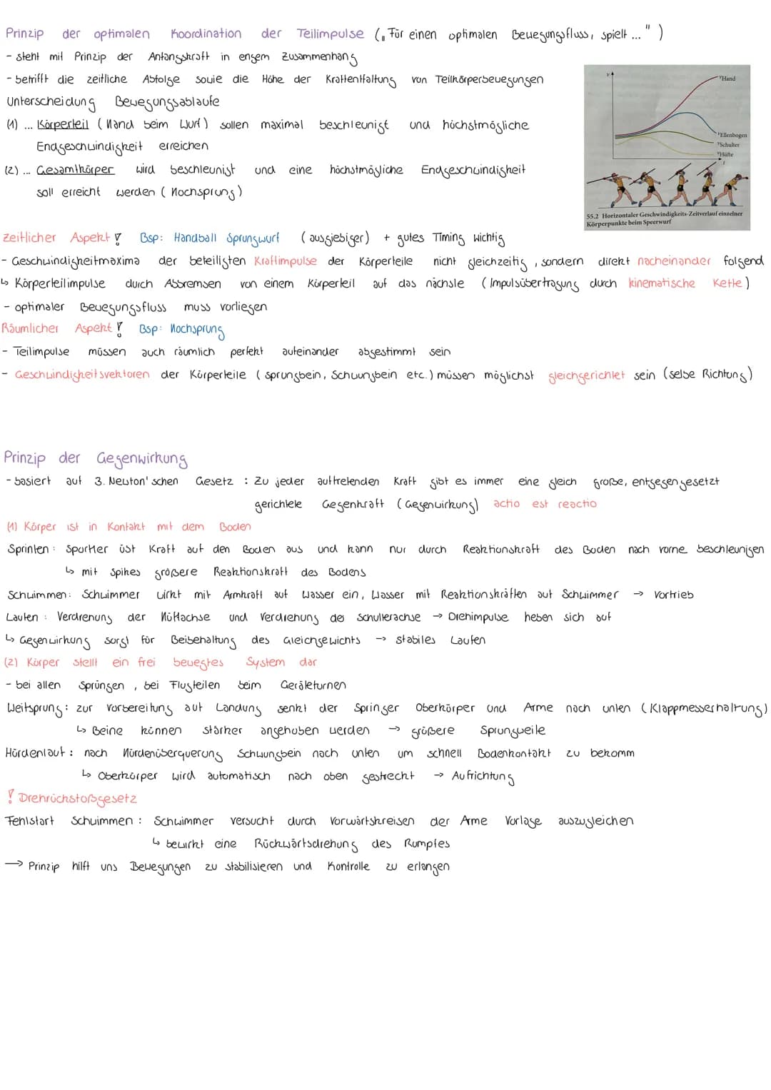 # ALLGEMEINE BIOMECHANISCHE GRUNDLAGEN : KINEMATIK / DYNAMIK
**Biomechanik**
- die Wissenschaft, die mit den Begriffen, Methoden und Gesetz