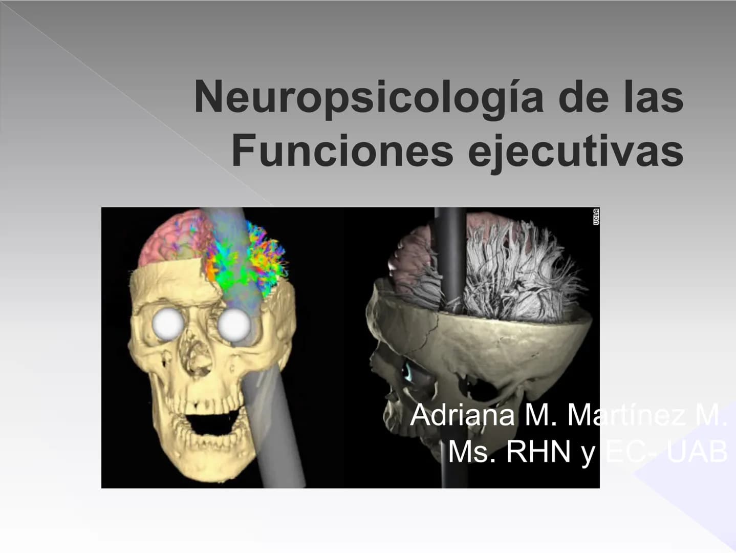 Neuropsicología de las
Funciones ejecutivas
Adriana M. Martínez M.
Ms. RHN y EC-UAB ejecutar
Para vivir las personas deben actuar; para
actu