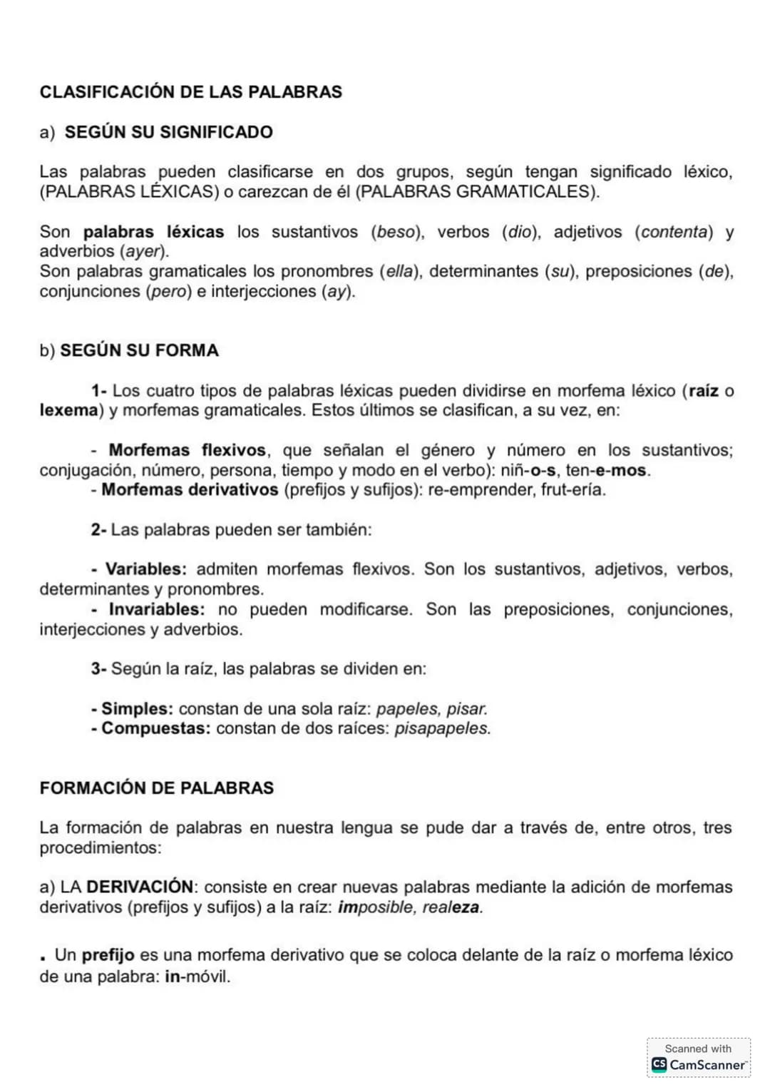 # CLASIFICACIÓN DE LAS PALABRAS
a) **SEGÚN SU SIGNIFICADO**
Las palabras pueden clasificarse en dos grupos, según tengan significado léxic