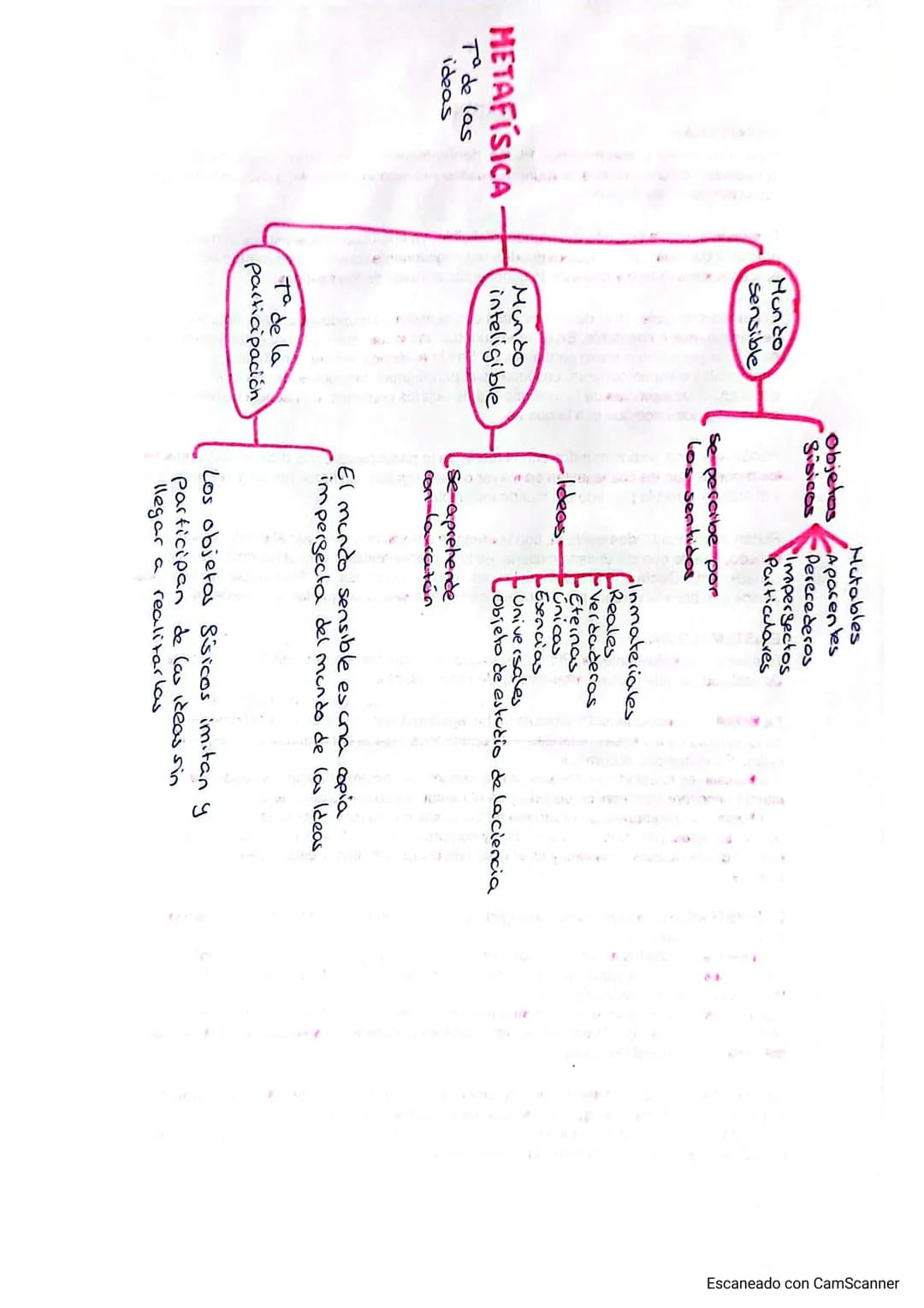 METAFÍSICA:
PLATÓN
Para comprender la metafísica de Platón, debemos ver la teoría de las ideas, la cual supone
la distinción de dos mundos,