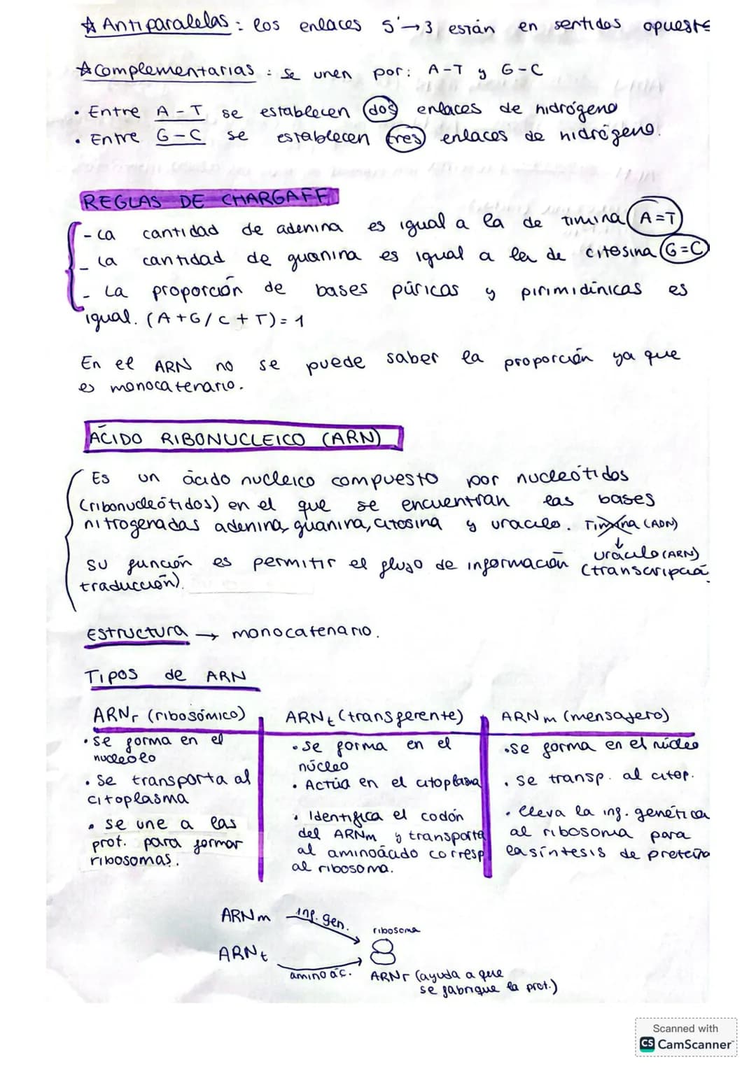 ACIDOS NUCLEICOS
NUCLEOTIDOS/
Cos nucleótidos son biomoléculas orgánkas formadas por
CHONPS. Son las unidades básicas que forman los ácides