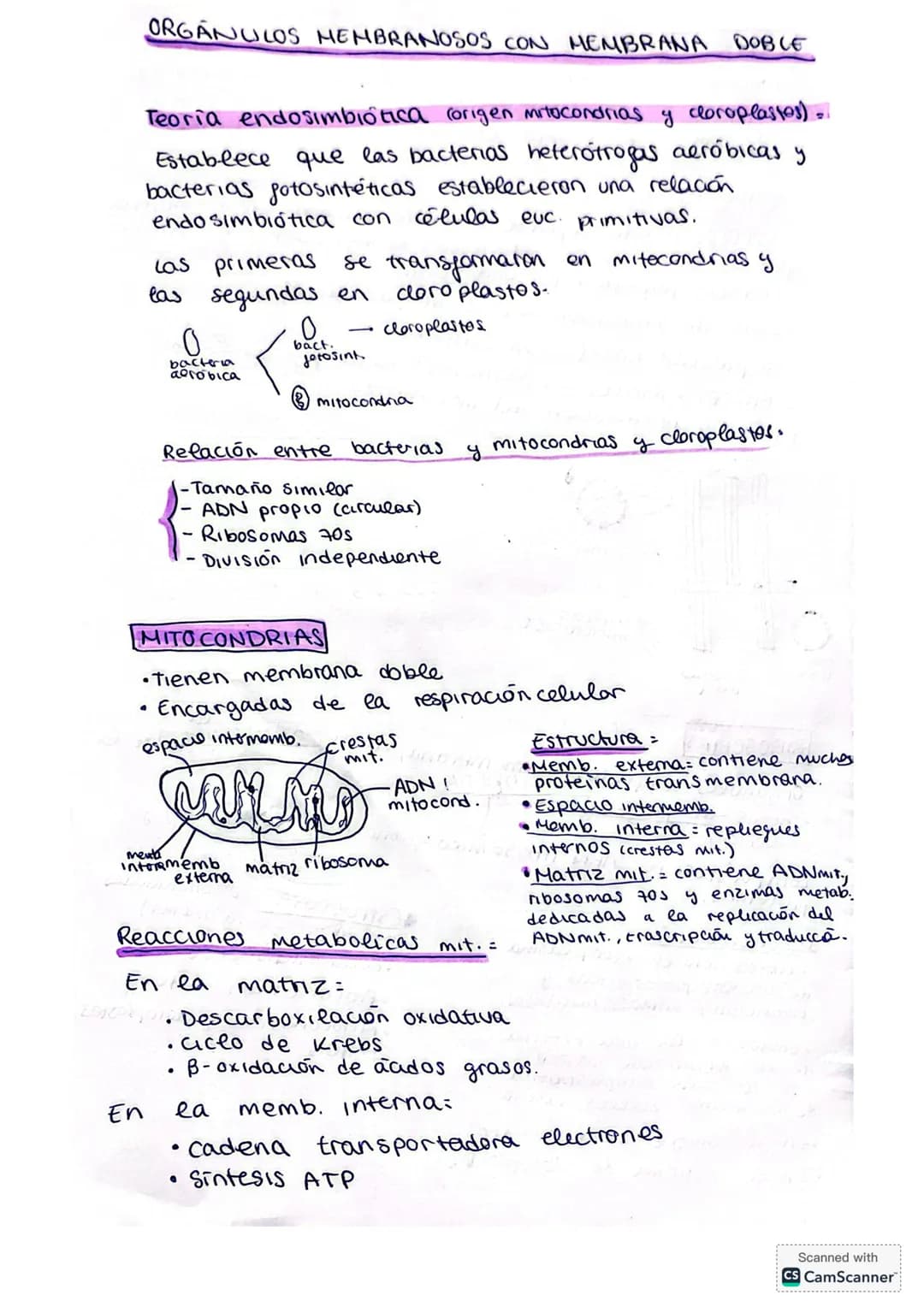 ## LA CÉLULA
La citología es la rama de la biología que estudia la estructura y función de la célula.
**Fundamentos de la teoría celular:*
