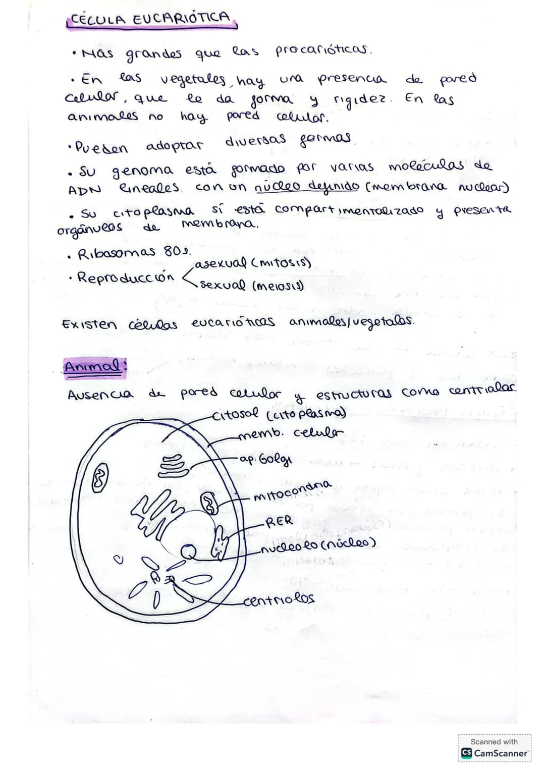 ## LA CÉLULA
La citología es la rama de la biología que estudia la estructura y función de la célula.
**Fundamentos de la teoría celular:*