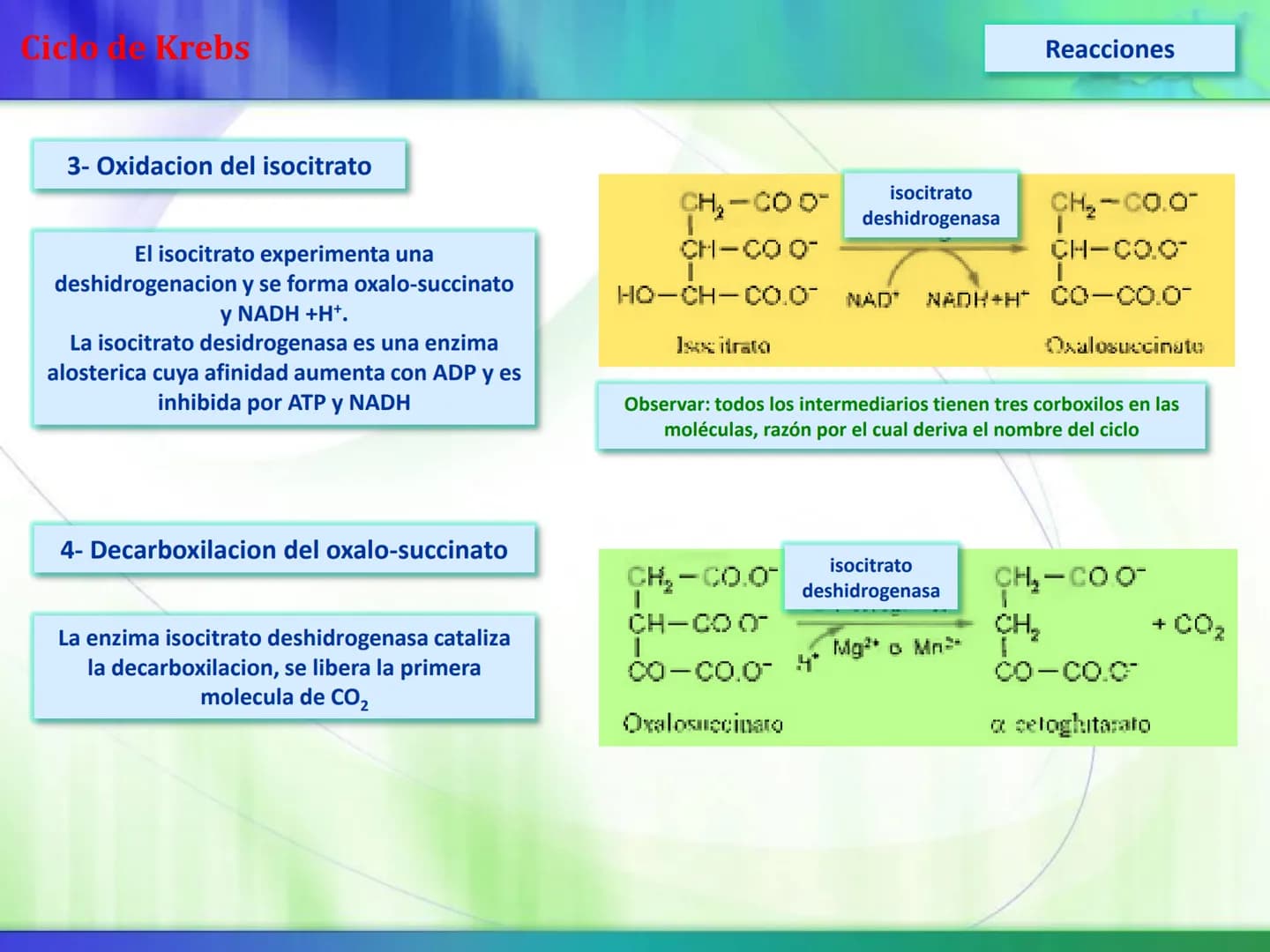 # Ciclo de Krebs Ciclo de Krebs
Acetil-CoA
Proteínas - Polisacáridos - Grasas
Aminoácidos - Monosacáridos - Ácidos Grasos
Acetil CoA
Metabol