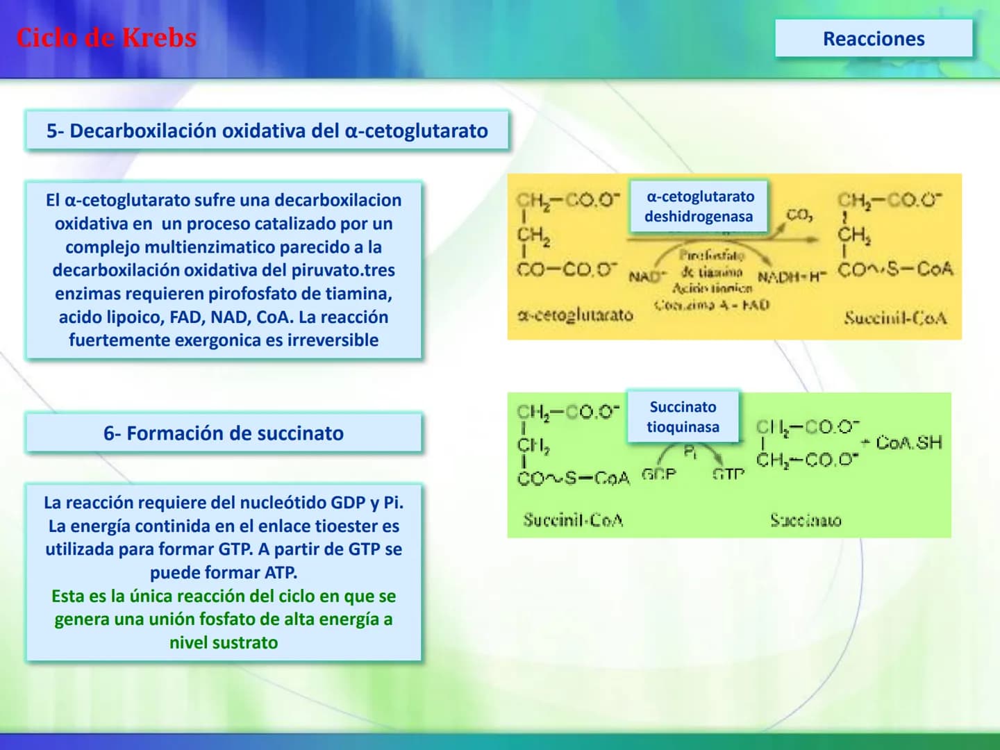 # Ciclo de Krebs Ciclo de Krebs
Acetil-CoA
Proteínas - Polisacáridos - Grasas
Aminoácidos - Monosacáridos - Ácidos Grasos
Acetil CoA
Metabol