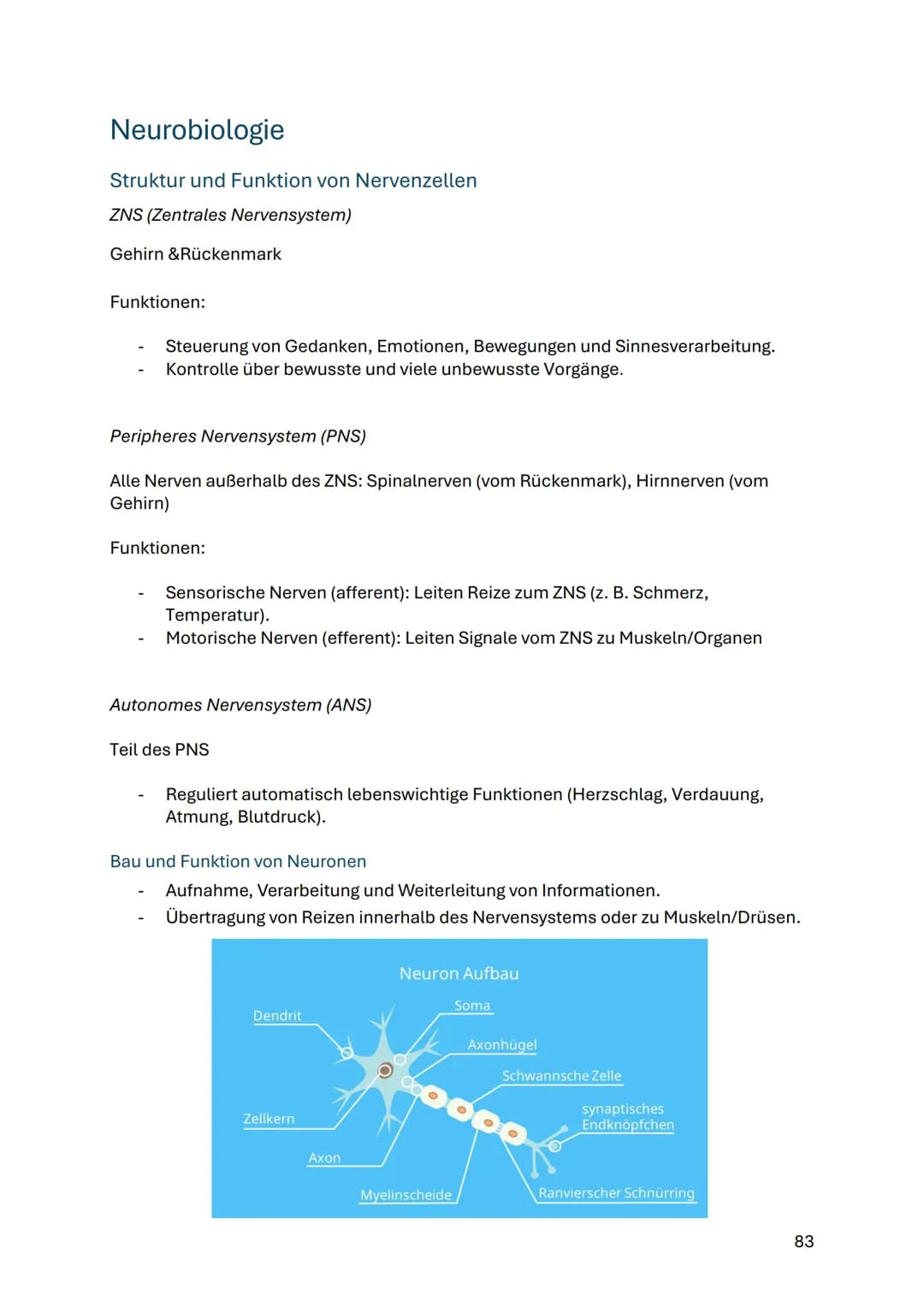 # Neurobiologie
Struktur und Funktion von Nervenzellen
ZNS (Zentrales Nervensystem)
Gehirn & Rückenmark
Funktionen:
- Steuerung von Ged