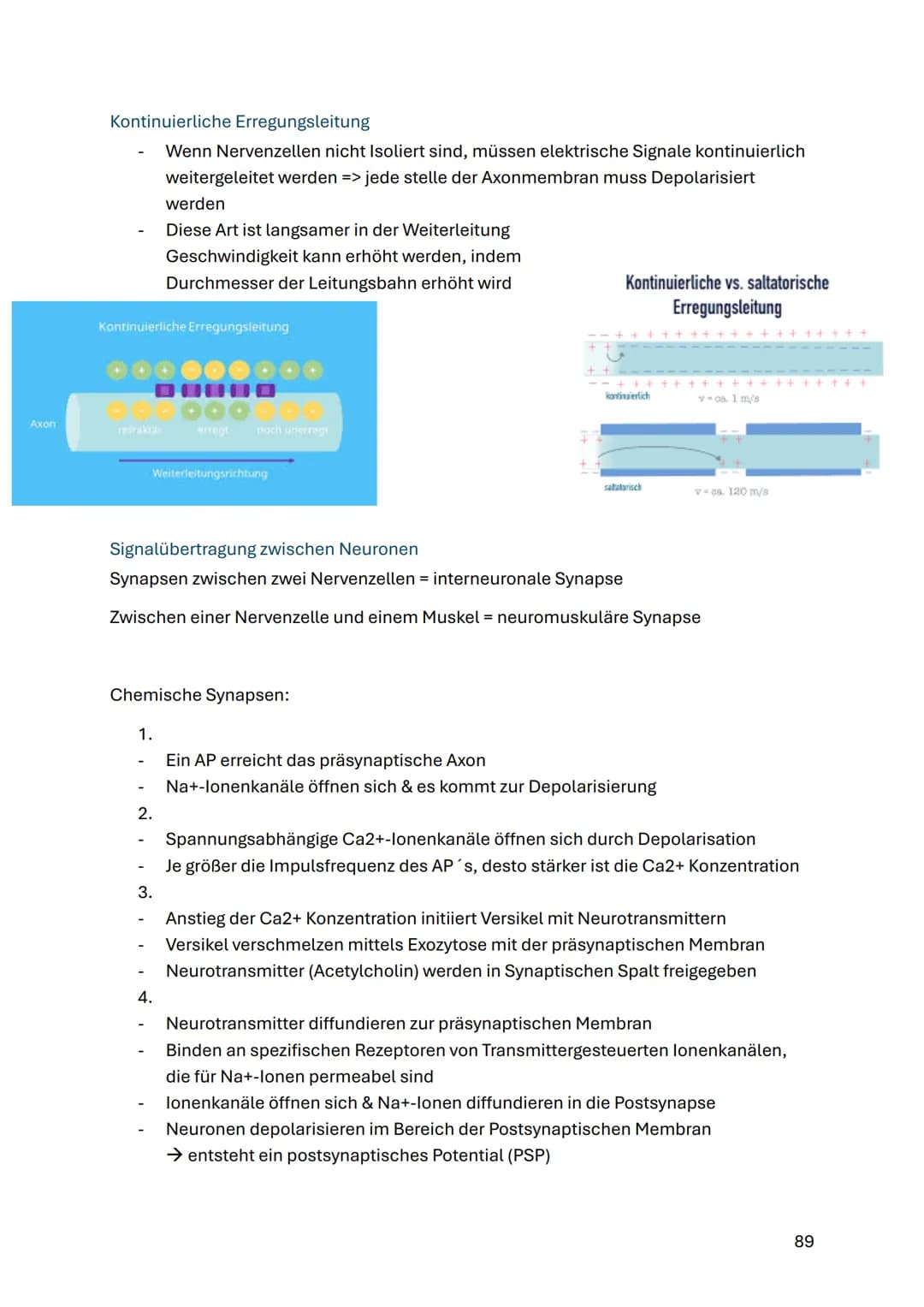 # Neurobiologie
Struktur und Funktion von Nervenzellen
ZNS (Zentrales Nervensystem)
Gehirn & Rückenmark
Funktionen:
- Steuerung von Ged