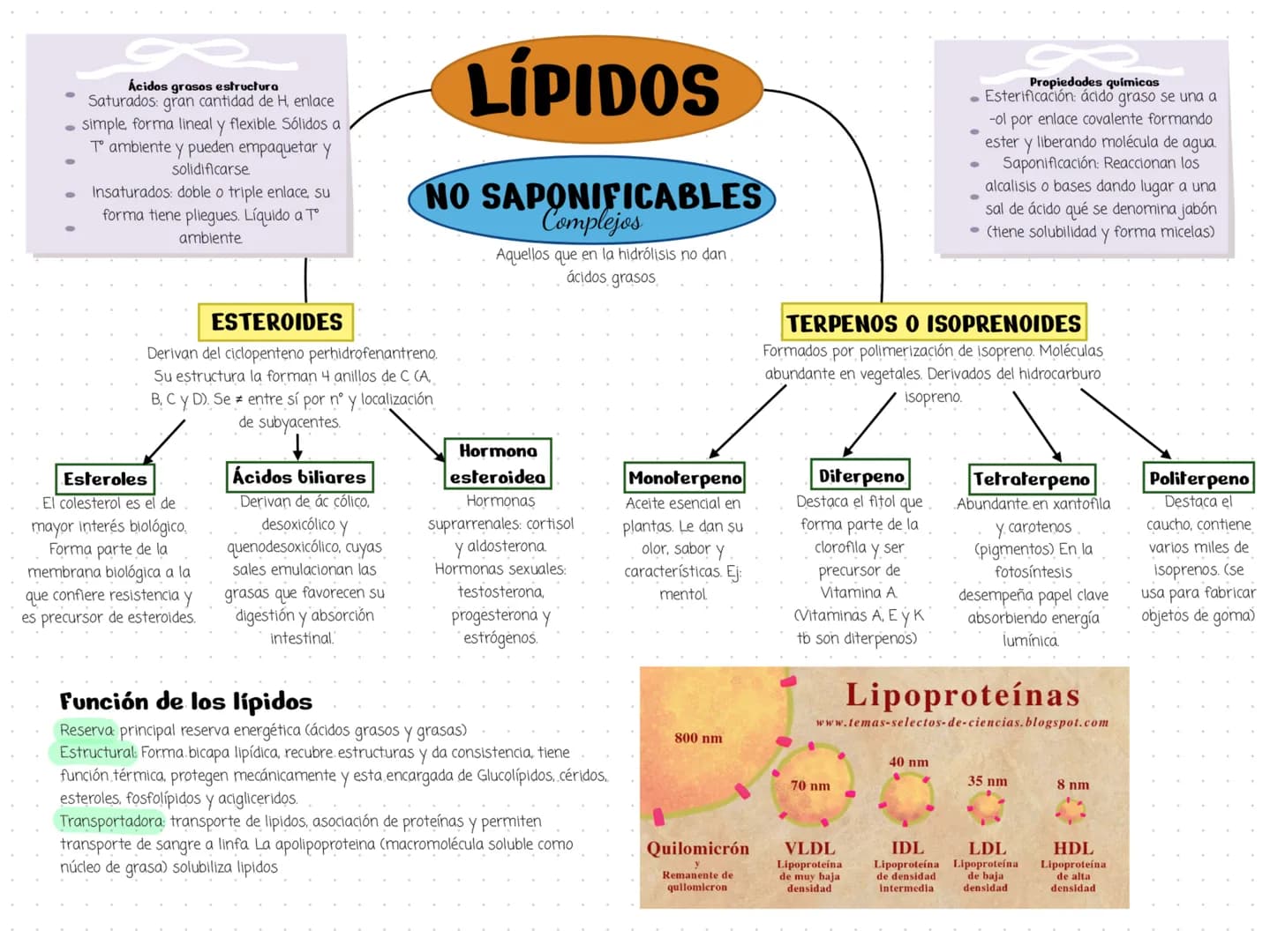 Ácidos grasos estructura
Saturados: gran cantidad de H, enlace
simple, forma lineal y flexible. Sólidos a
To ambiente y pueden empaquetar y
