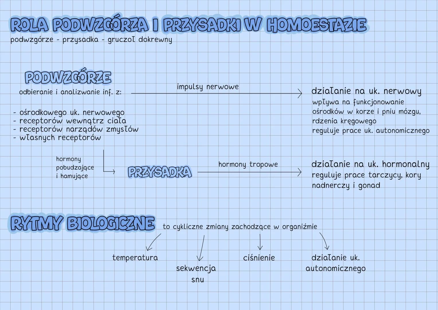 --- OCR Start ---
UKŁAD HORMONALNY
UKŁAD HORMONALNY
↓
reguluje czynności życiowe
gruczoły
dokrewne
↘
komórki
wydzielnicze
wydzielają hormony