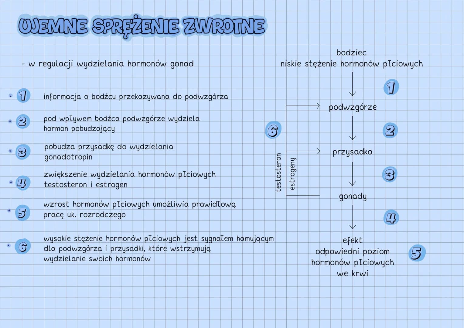 --- OCR Start ---
UKŁAD HORMONALNY
UKŁAD HORMONALNY
↓
reguluje czynności życiowe
gruczoły
dokrewne
↘
komórki
wydzielnicze
wydzielają hormony