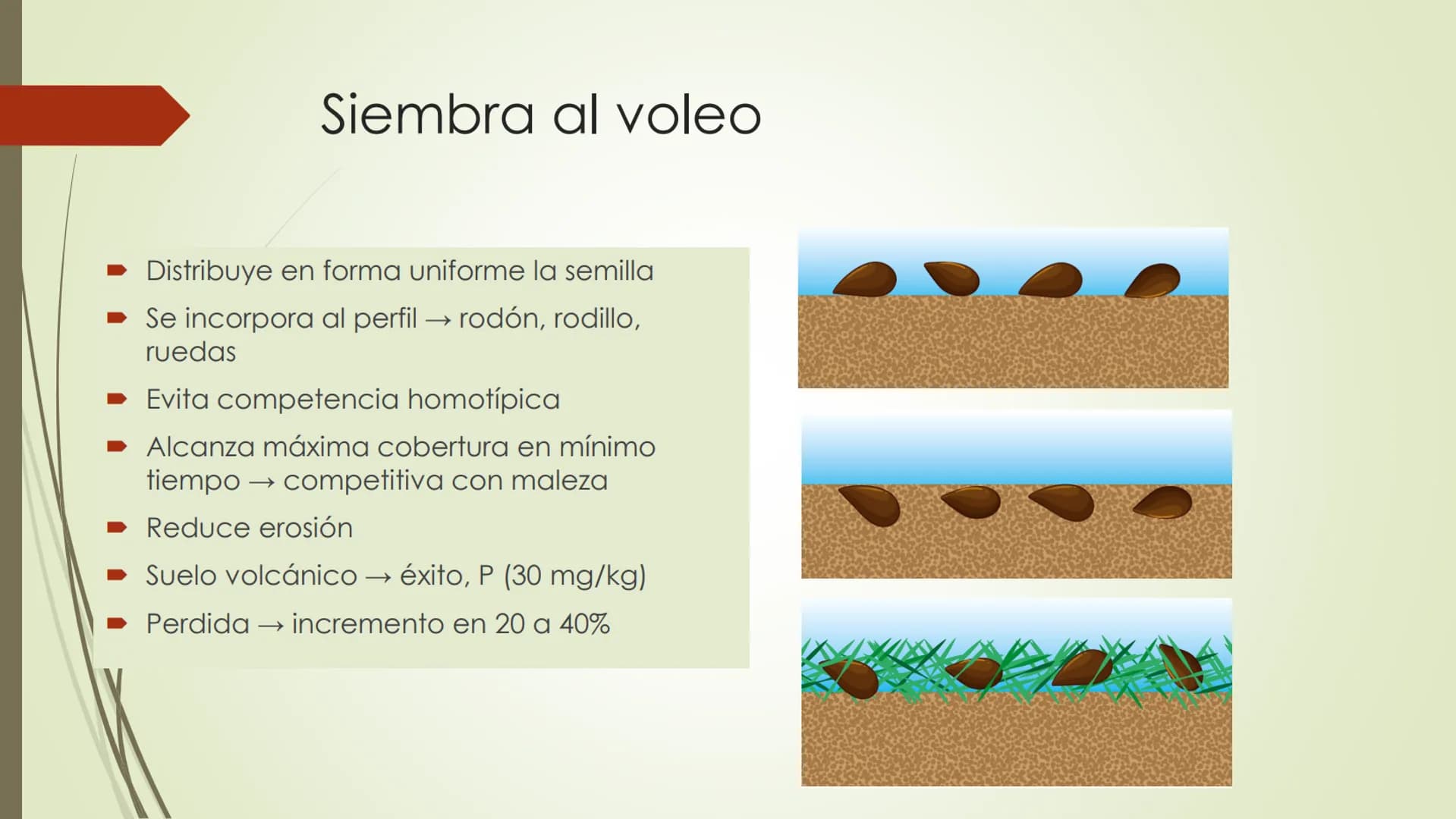 # Praderas y Especies
Forrajeras
Clase 5 Rutas de mejoramiento de praderas naturales
Vía rápida
Vía lenta
Rotación de cultivos
(raps, trigo,