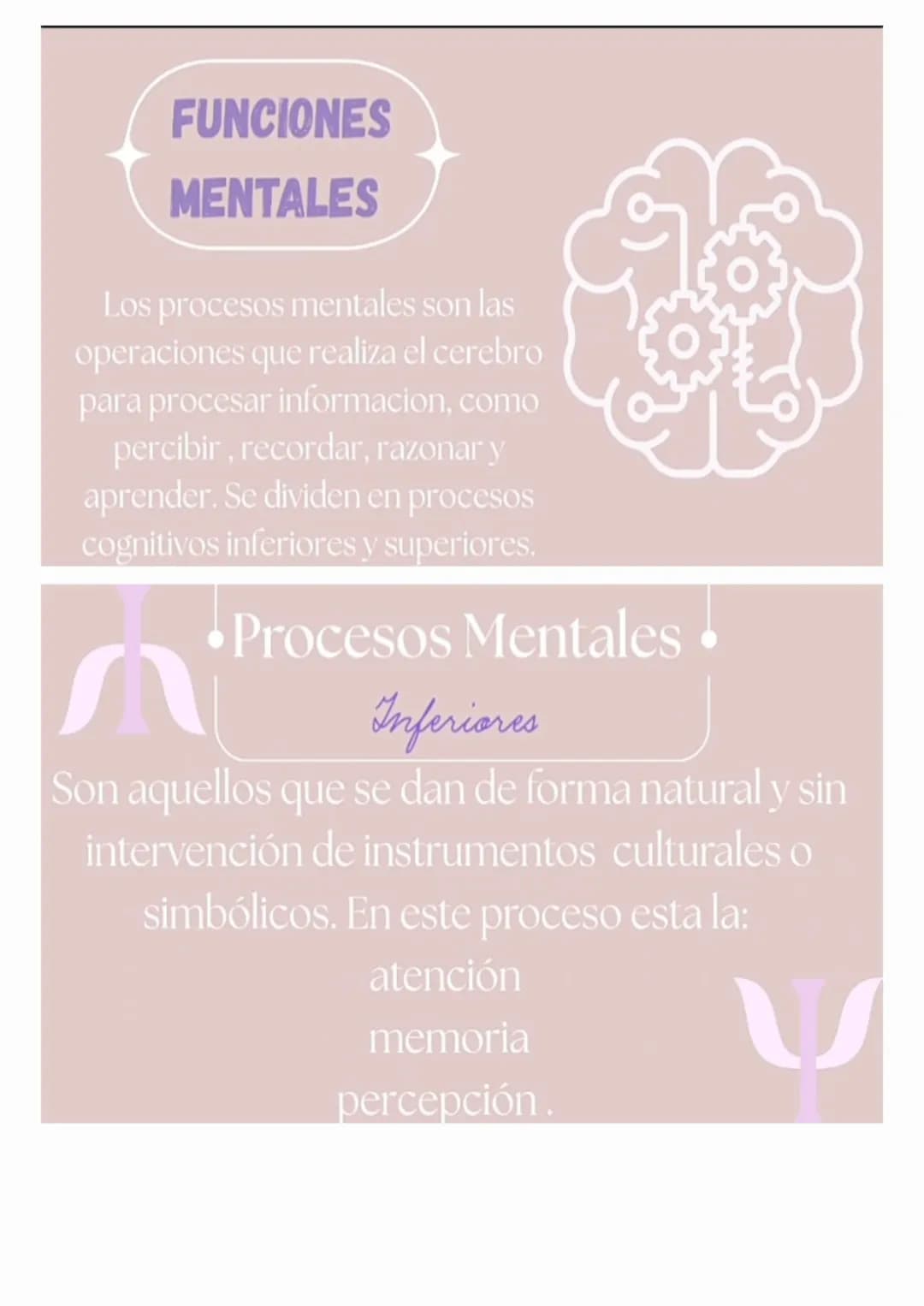 psicologia
COGNITIVA
¿QUÉ ES ?
Es una rama de la psicología que se enfoca
en estudiar los procesos mentales involucrados
en el conocimiento,