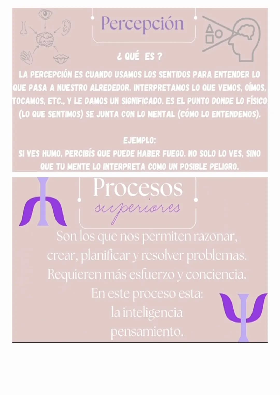 psicologia
COGNITIVA
¿QUÉ ES ?
Es una rama de la psicología que se enfoca
en estudiar los procesos mentales involucrados
en el conocimiento,