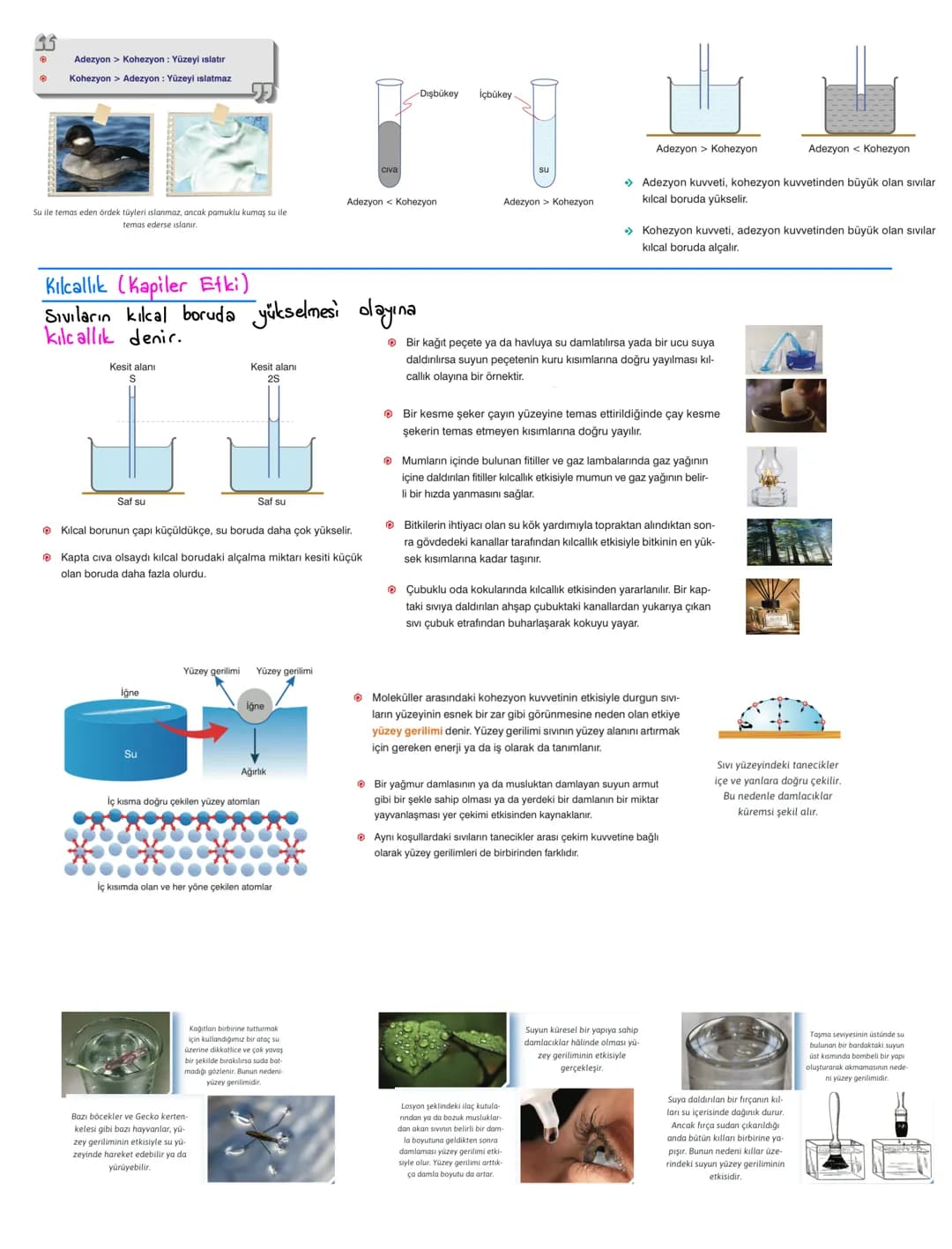 # Zayıf Etkileşimler
Van der Waals
Dipol-Dipol
Etkileşimi
İyon-Dipol
Etkileşimi
Hidrojen Bağı
London
Etkileşimi
İyon-İndüklenmiş
Dipol