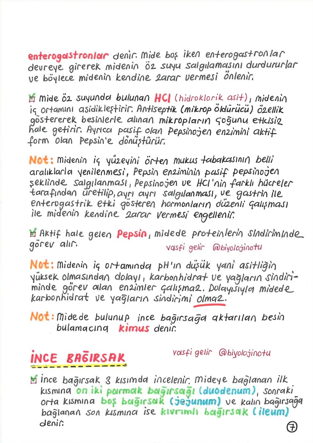 SİNDİRİM SİSTEMİ
Alınan besinlerin hücre zarından geçebilecek kadar
küçük maddelere parçalanması olayına sindirim denir.
Sindirim olayı, mek