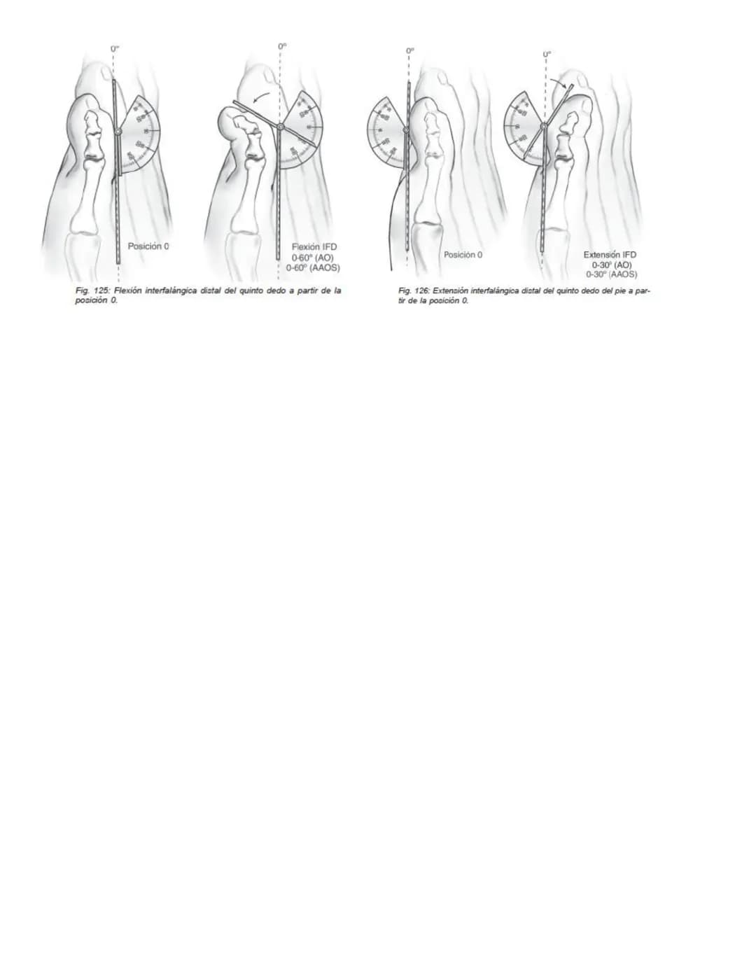 90°
90°
Posición 0
Flexión
0-35°/45° (AO)
0-45° (AAOS)
Extensión
0-35/45°(AO)
0-45° (AAOS)
Fig. 67: Flexión-extensión cervical a partir de l