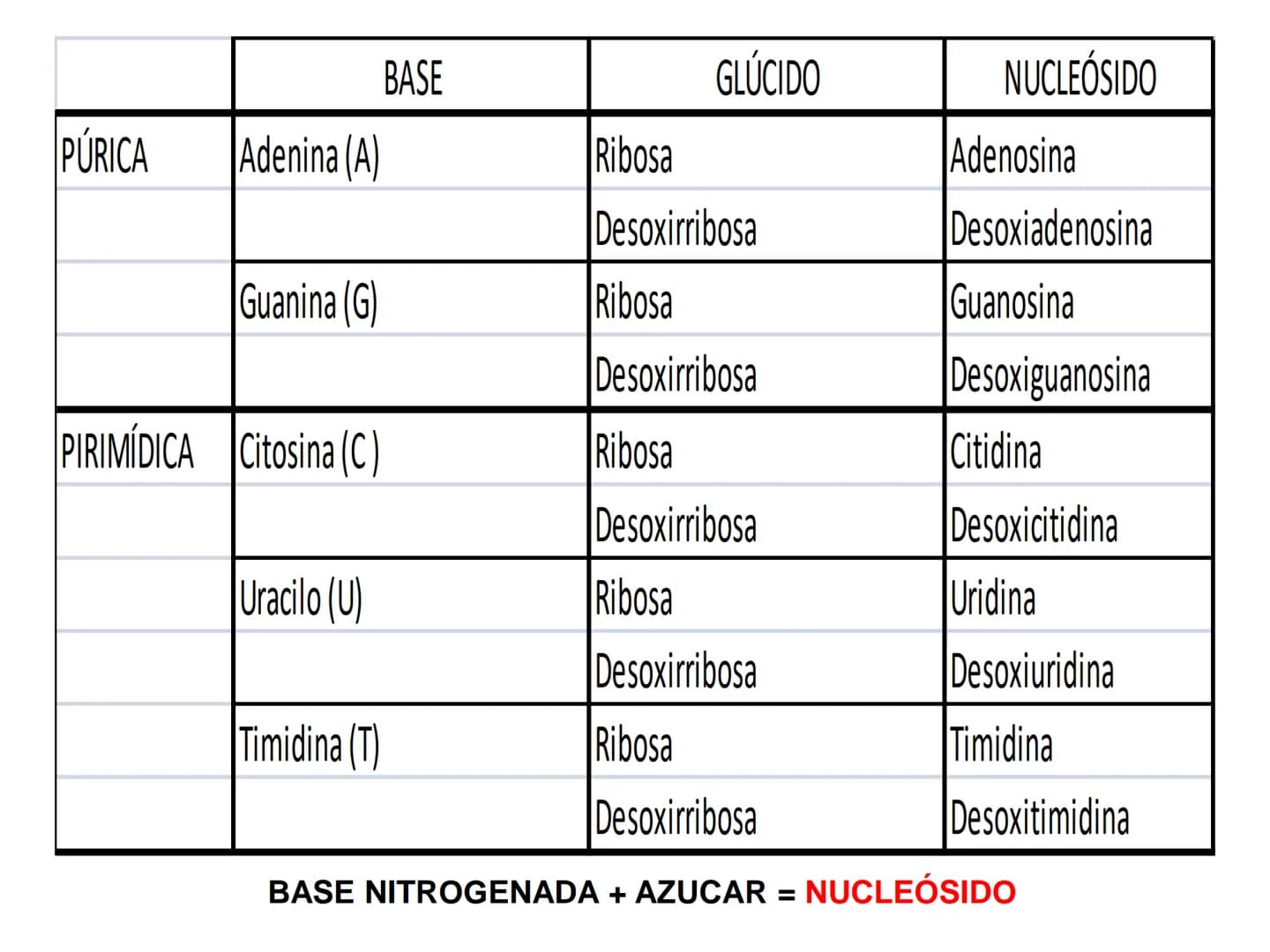 NACIONAL DE R
SIDAD
COGITANTEM
ROSARIO
UNIVER
TEÓRICO PRÁCTICO
NUCLEÓTIDOS
Cátedra de Química Biológica
FCV-UNR
CIENCIAS VETERI
FACULTAD DE