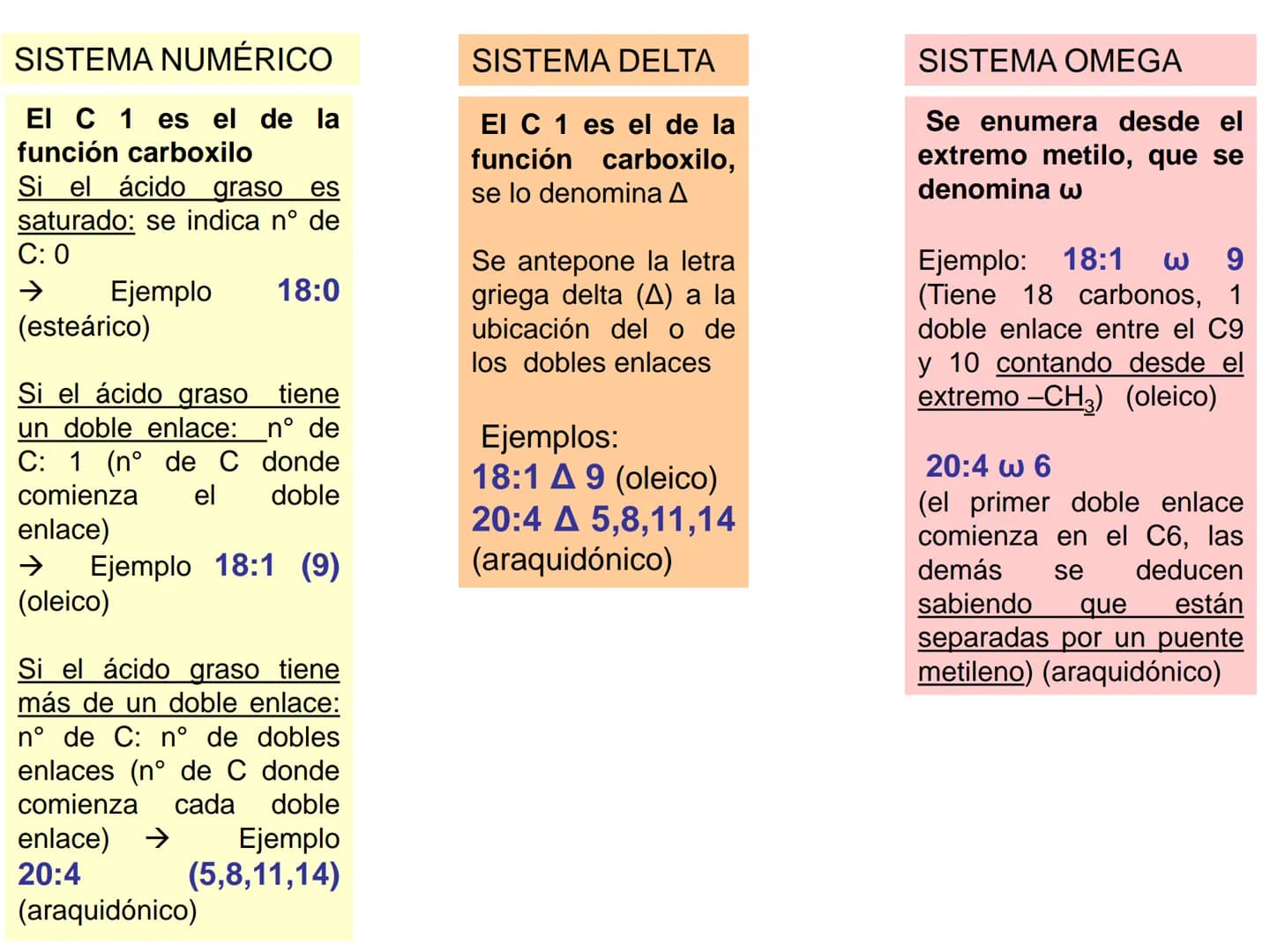 # Teórico-Práctico N°9
# LÍPIDOS
Química Biológica I Estructura de Lípidos:
Son un grupo heterogéneo de sustancias orgánicas, distribuidas