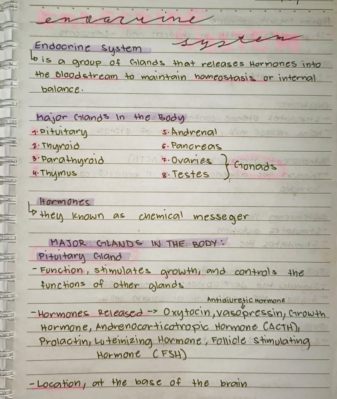 --- OCR Start ---
en
Endocrine system
ine
Lo is a group of Glands that releases Hormones into
the Bloodstream to maintain homeostasis or int
