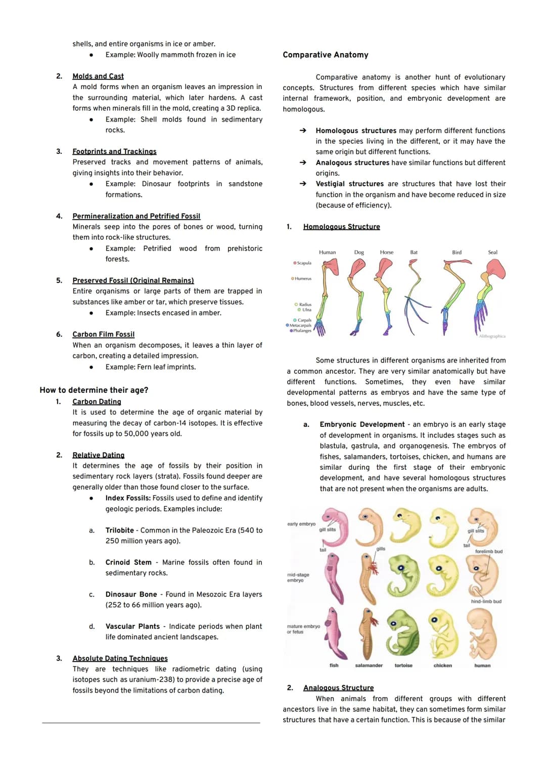DNA REPLICATION
Science 10 | Quarter 3 | Biology
Chromosome
Free nucleotides
→ An enzyme called helicase unzips the double helix by
breaking