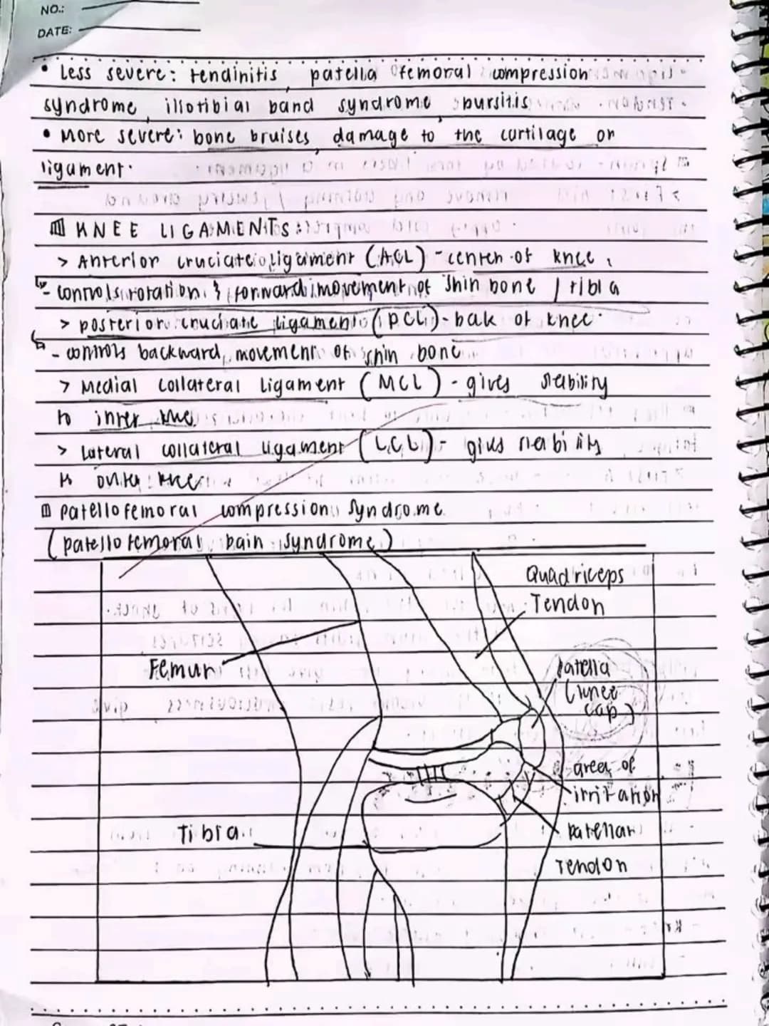 lecture notes in
МАРЕН 9
03/02/24
Fitness
UNDERWEIGHT
EXCELLENT 5:
GOOD 3
FAIR 2
GOOD 1
MY GOOD SCORE: 8
SprengLeaf
DO NOT RE-UPLOAD | @jona