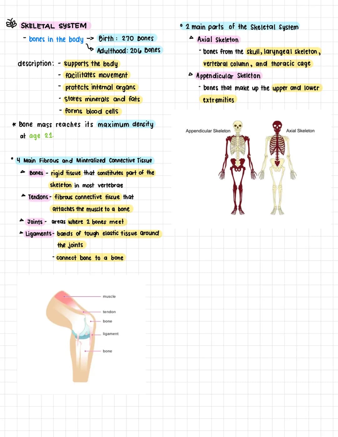A. Terms:
health science
• Anatomy- the structure and shape of the
body and body parts
• Physiology - the function of the body and
its parts