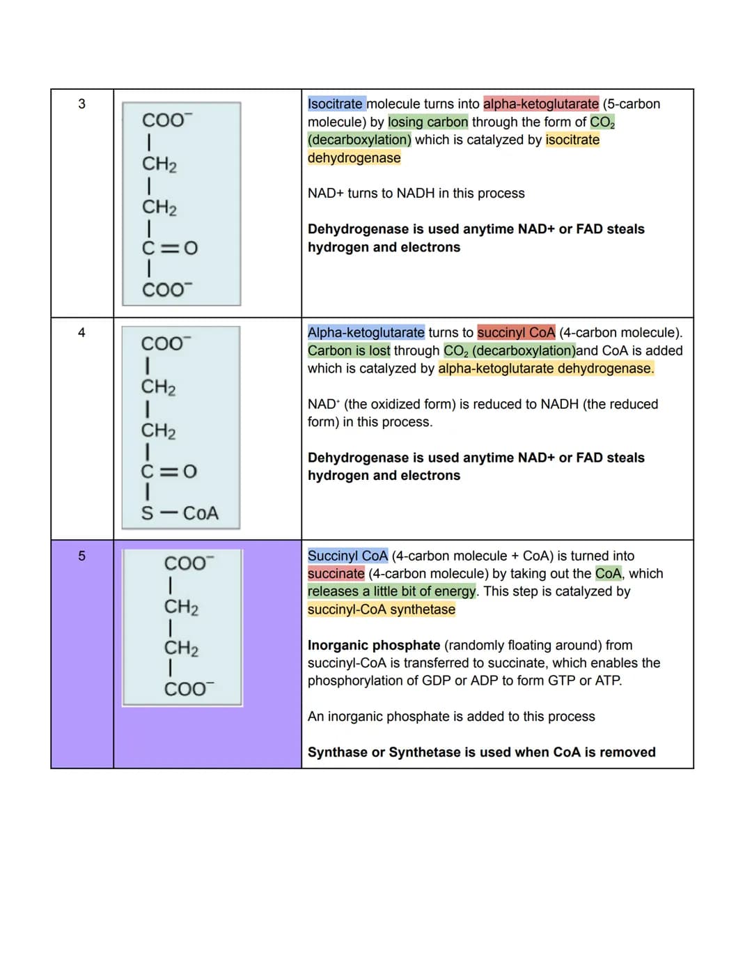 COVERAGE
1. Anaerobic Respiration
a. Lactic Acid Fermentation
b. Alcoholic Fermentation
2. Glycolysis & Transition Period
a. Enumerate proce