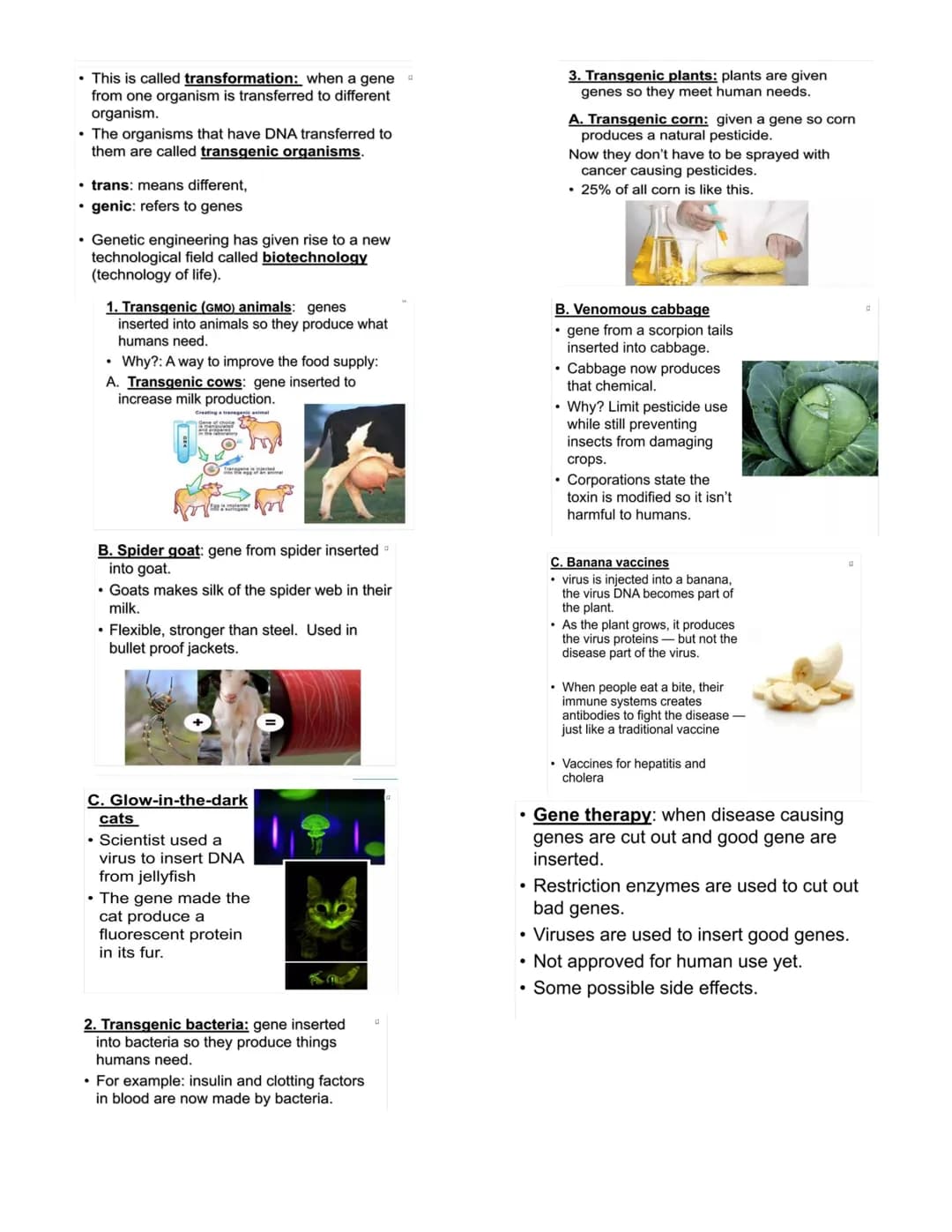 GENETIC ENGINEERING
Genetic engineering
Changing the DNA in living organisms to create
something new.
►This organisms are called Genetically